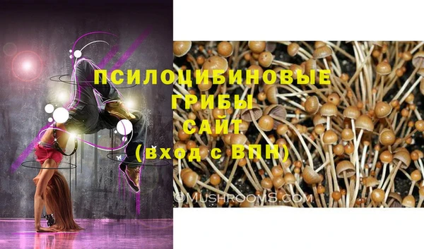 эйфоретик Алексеевка