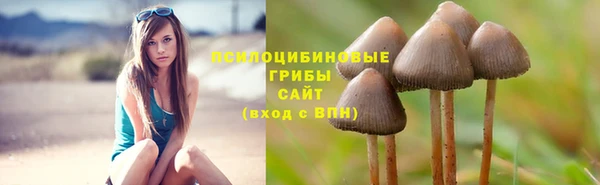 спиды Алексин