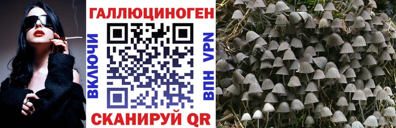 Галлюциногенные грибы GOLDEN TEACHER что такое наркотик Заводоуковск
