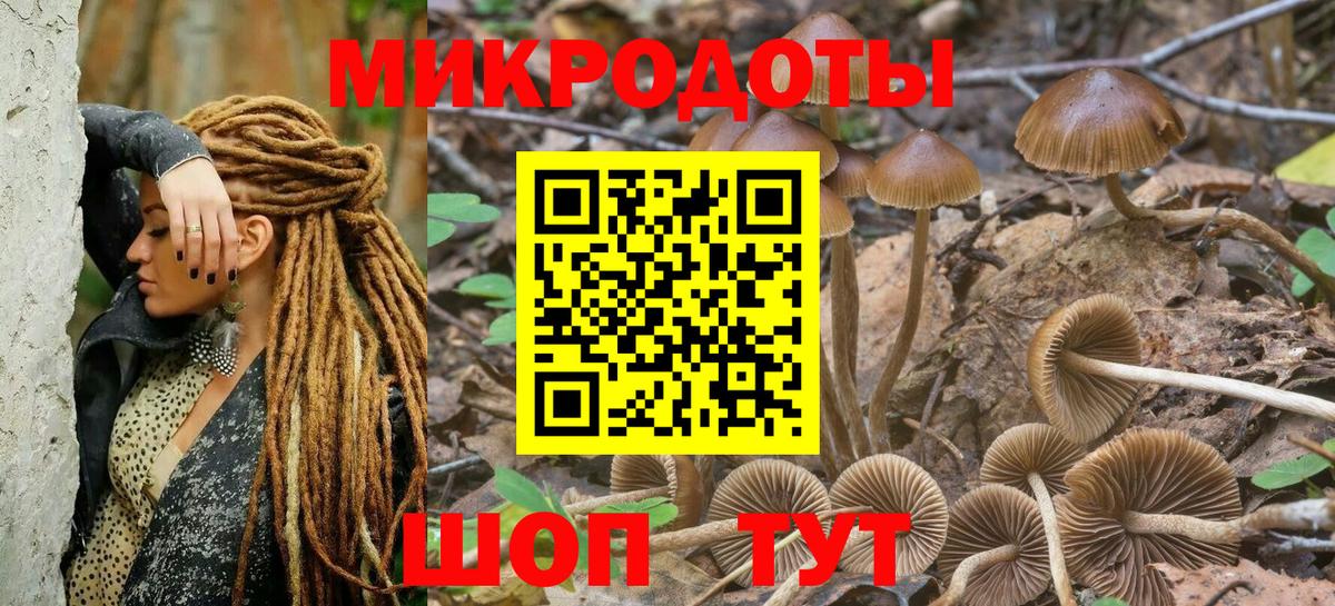 Заводоуковск  Псилоцибиновые грибы Cubensis  Вход с VPN 