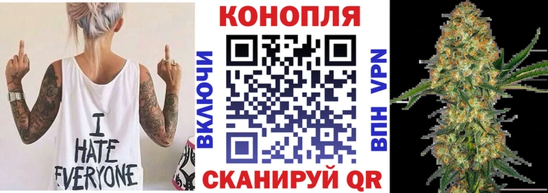 Бошки Шишки SATIVA & INDICA Заводоуковск