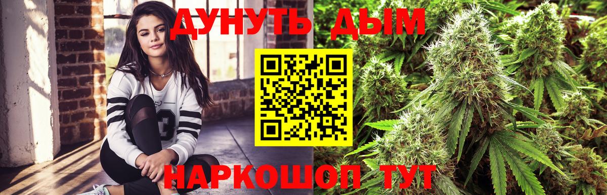 Каннабис планчик  Вход с VPN  Бошки Шишки VHQ  Заводоуковск 